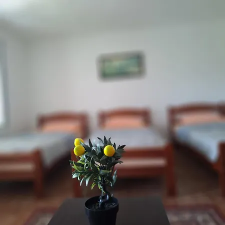 Skadar View - Vranjina Holiday home *