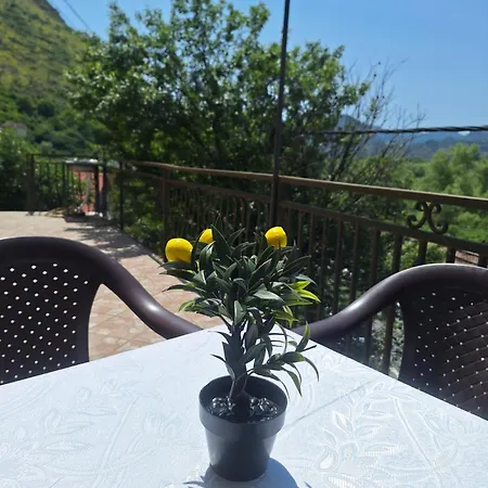 Semesterbostad Skadar View - Vranjina *